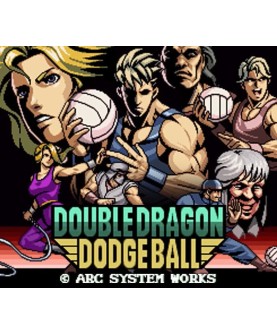Double Dragon Revive - Pre-Order Bonus DLC PS5 PlayStation 5 Key GLOBAL